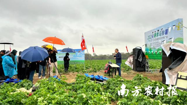 培訓現(xiàn)場，一臺直播設備將培訓過程傳送至網絡，不少種植戶紛紛在線上留言互動。